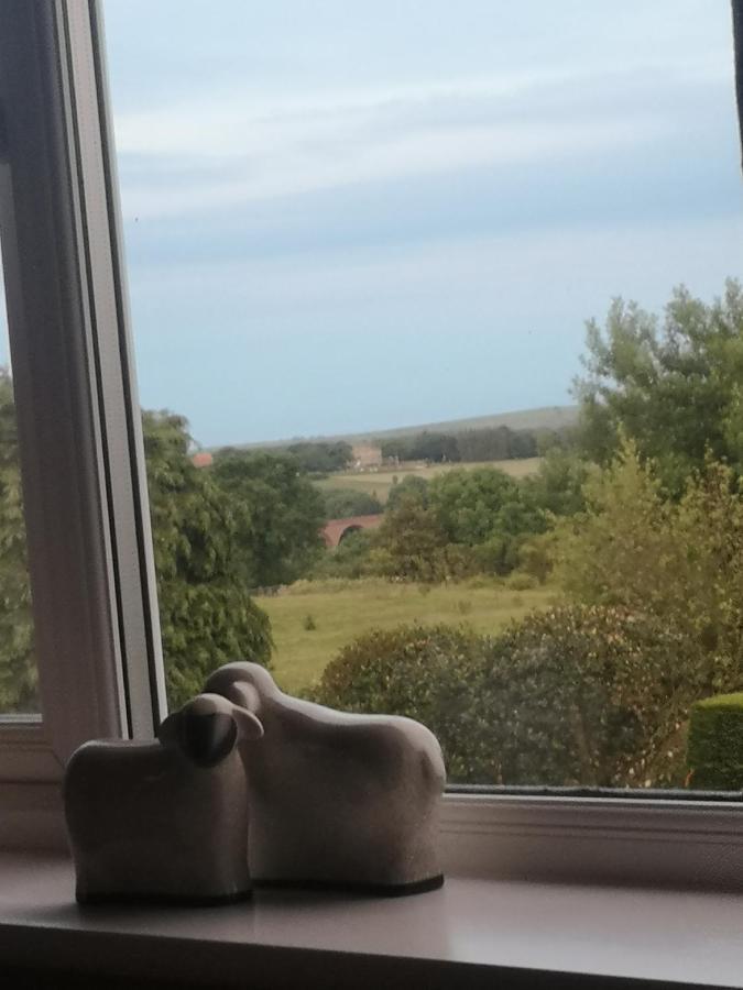 Greystones guesthouse Whitby Extérieur photo
